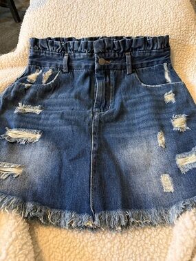 Hayden Distressed Blue Denim Mini Skirt